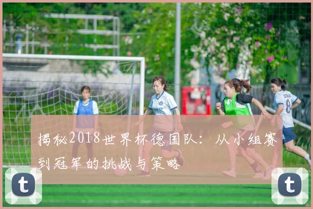 揭秘2018世界杯德国队：从小组赛到冠军的挑战与策略