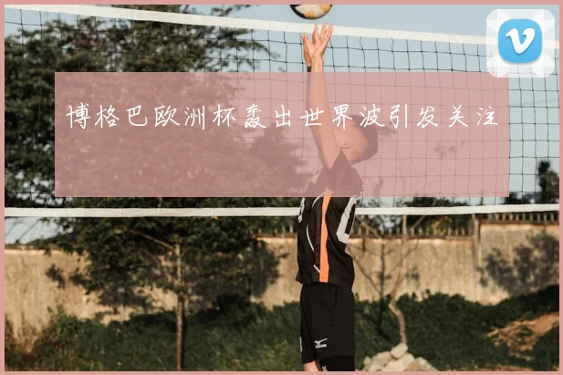 博格巴欧洲杯轰出世界波引发关注